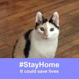 Meet your Posher, Peggy